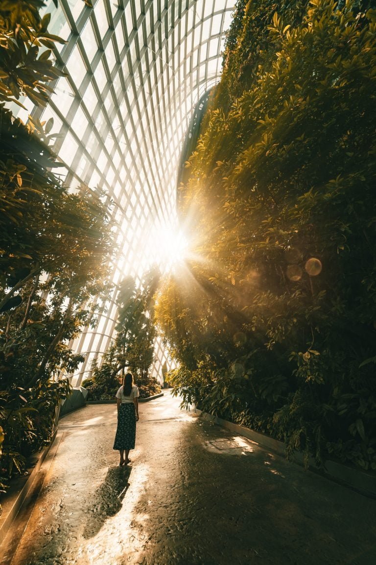 a person walking on a path with a fence and trees